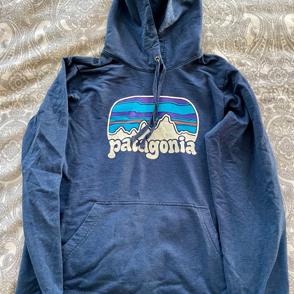 Patagonia women’s Blue Hoodie